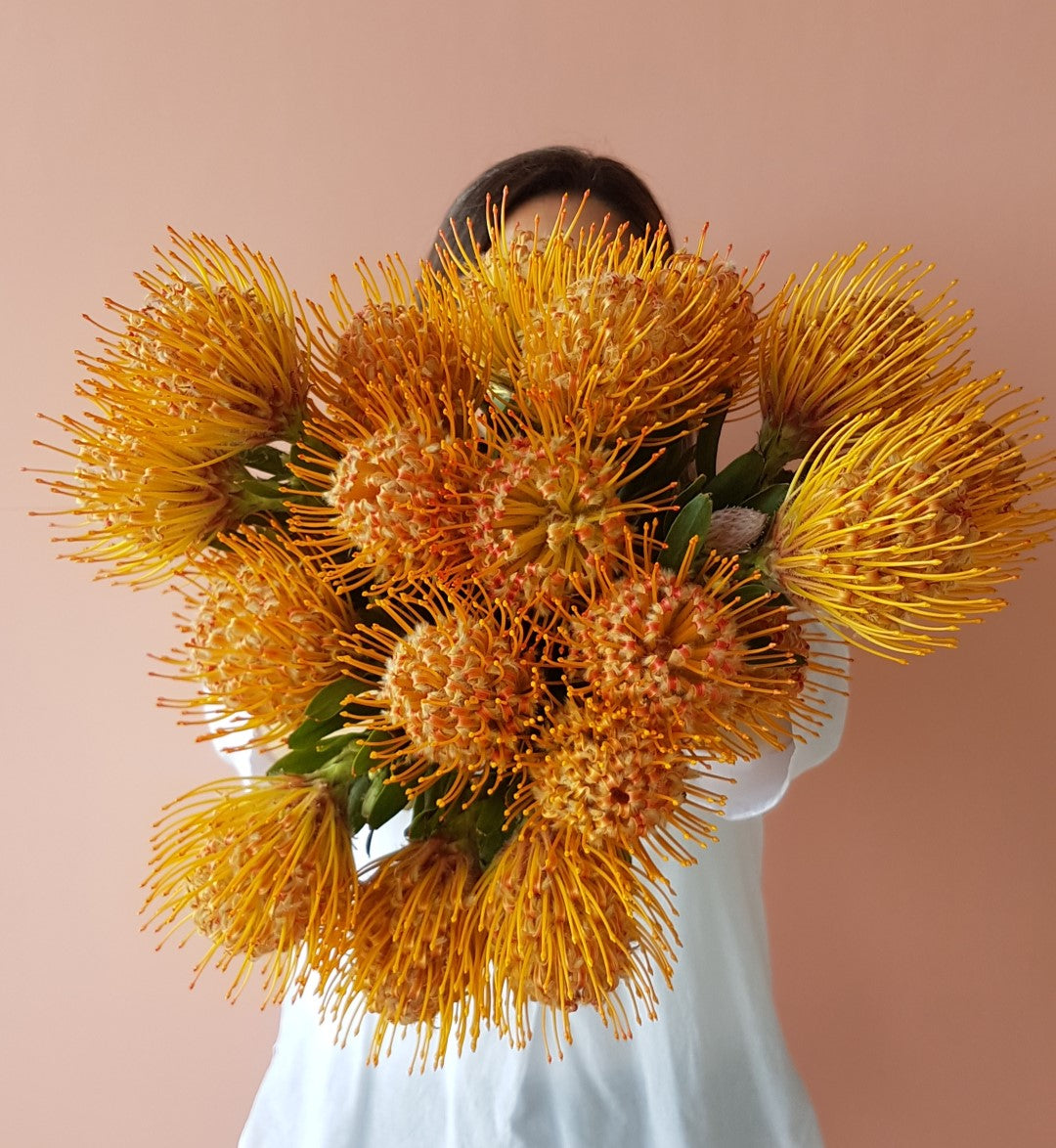 Aspendeli Cafe- $40-Hobart Florist Delivery-The Wild Bunch